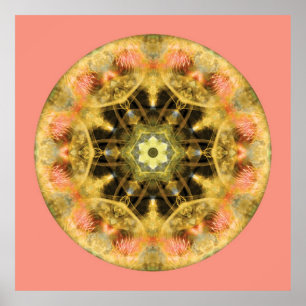 Mandalas from the Heart of Transformation, No. 4 Poster