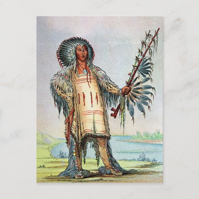 Mandan Indian Ha-Na-Tah-Muah, Wolf chief Postcard (Front)