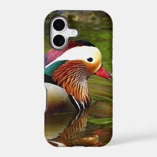 Mandarin Duck
