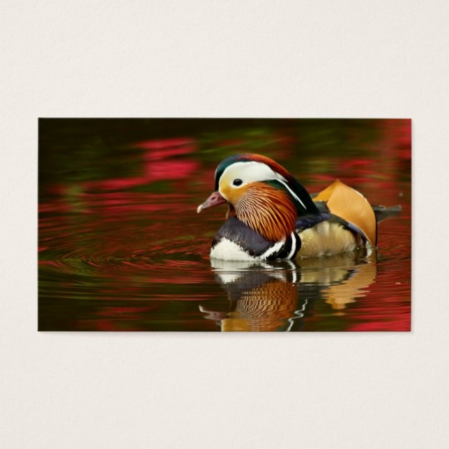 Mandarin Duck (Front)