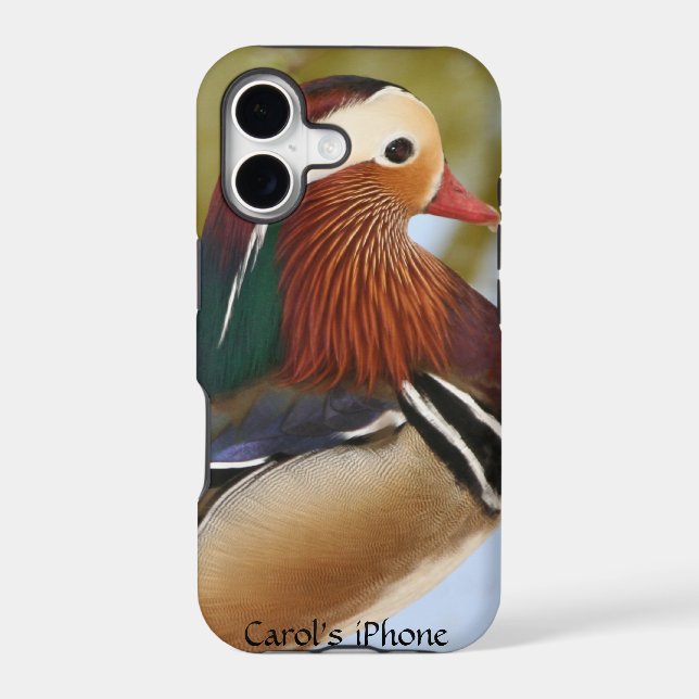 Mandarin Duck (Back)