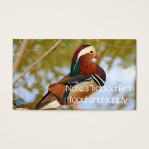 Mandarin Duck