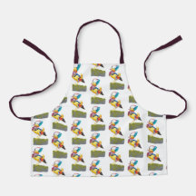 Mandarin Duck