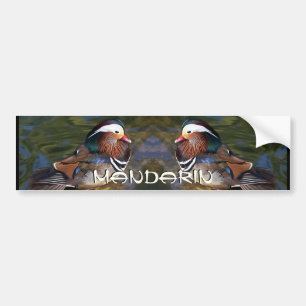 Mandarin Duck Bumper Sticker
