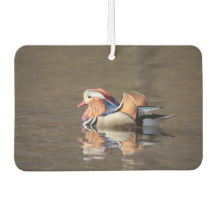 Mandarin Duck Car Air Freshener