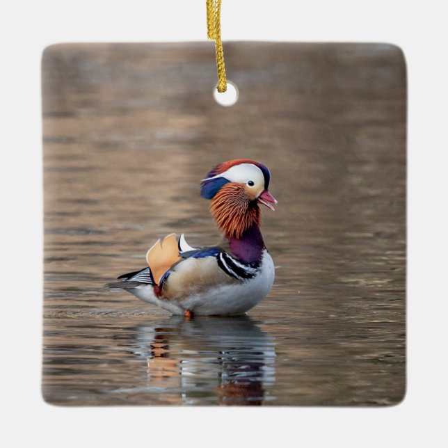 Mandarin Duck Ceramic Ornament (Front)