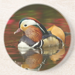 Mandarin duck coaster