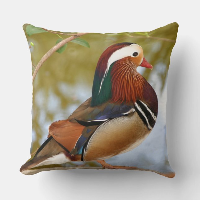 Mandarin Duck Cushion (Front)