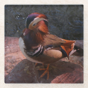 Mandarin Duck Glass Coaster
