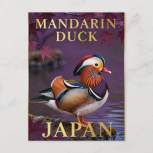 🦆 Mandarin Duck Japan Exotic Bird Postcard