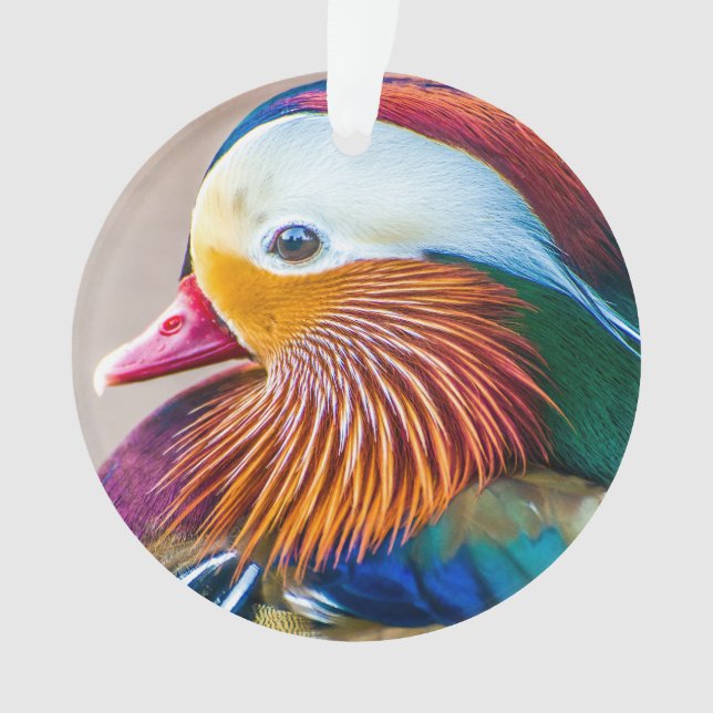Mandarin Duck Monogram Name Ornament (Front)
