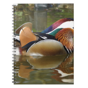 mandarin duck notebook