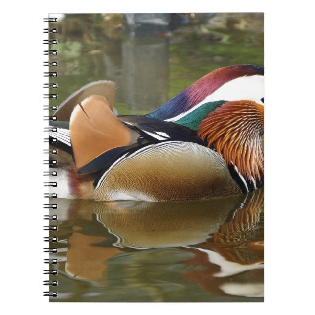 mandarin duck notebook (Front)