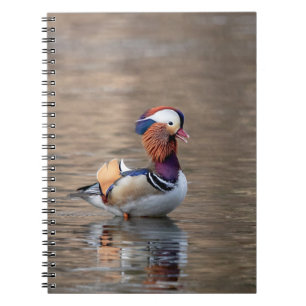 Mandarin Duck Notebook