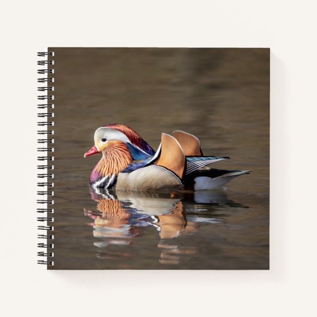 Mandarin Duck Notebook (Front)