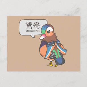 Mandarin Duck Postcard