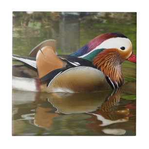 mandarin duck tile