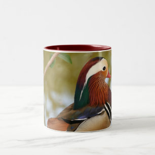 Mandarin Duck Two-Tone Coffee Mug
