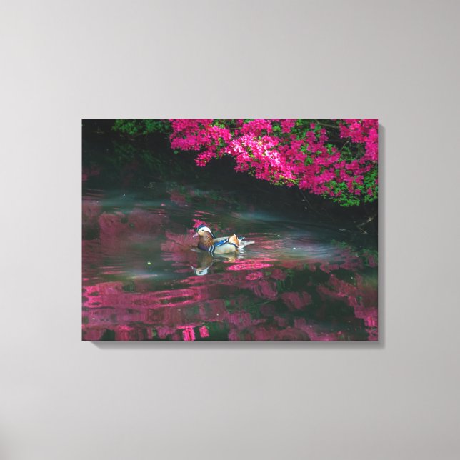 Mandarin Duck view canvas print (Front)