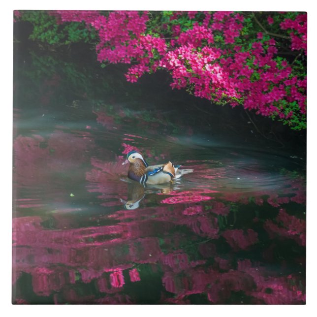 Mandarin Duck view ceramic tile (Front)
