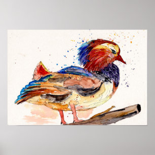 Mandarin Duck Watercolor Poster