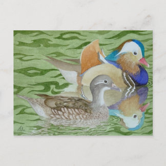 Mandarin Ducks on a lake Postcard