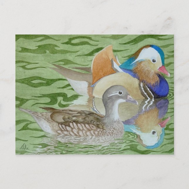 Mandarin Ducks on a lake Postcard (Front)