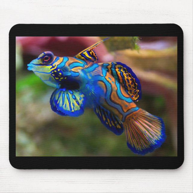 Mandarin Fish Mouse Pad (Front)