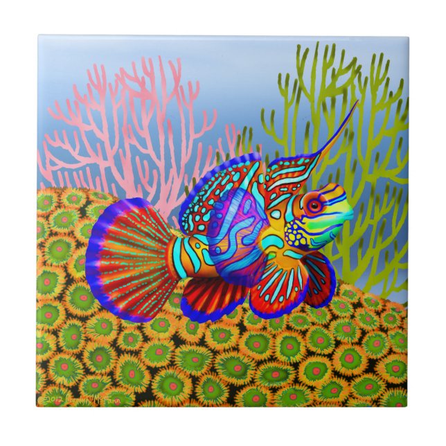 Mandarin Fish on Zoanthid Corals Tile (Front)