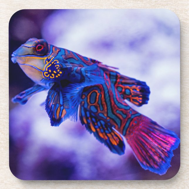 Mandarin Goby Fish Beverage Coaster (Front)