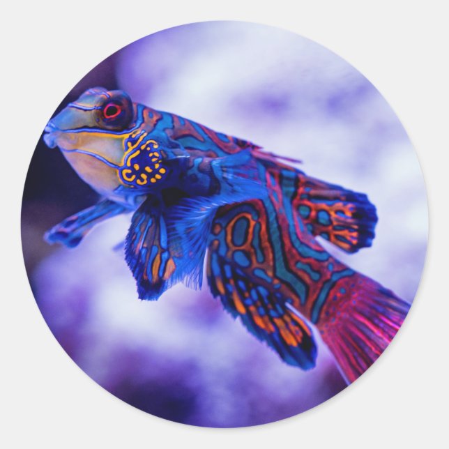 Mandarin Goby Fish Classic Round Sticker (Front)