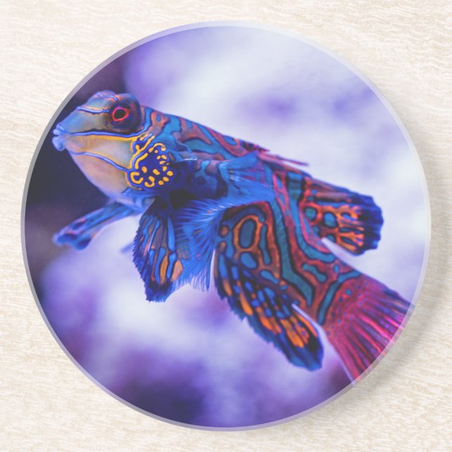 Mandarin Goby Fish Coaster (Front)