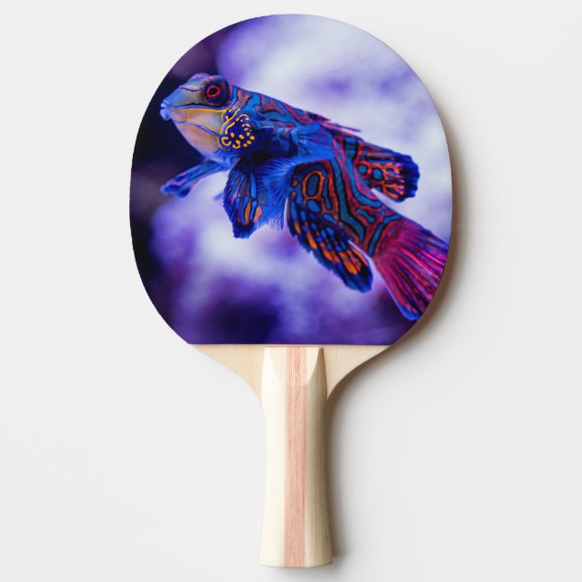 Mandarin Goby Fish Ping Pong Paddle (Front)