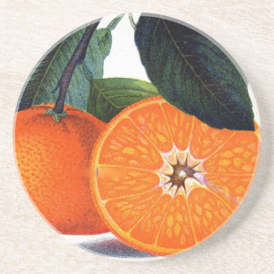 Mandarin Orange Coaster