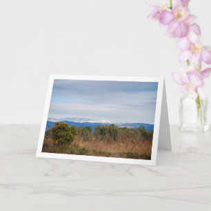 Mandarin Orange Tree and Snowy Mountains Card
