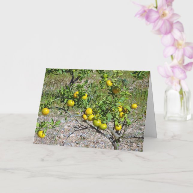 Mandarin Orange Tree Card (Orchid)