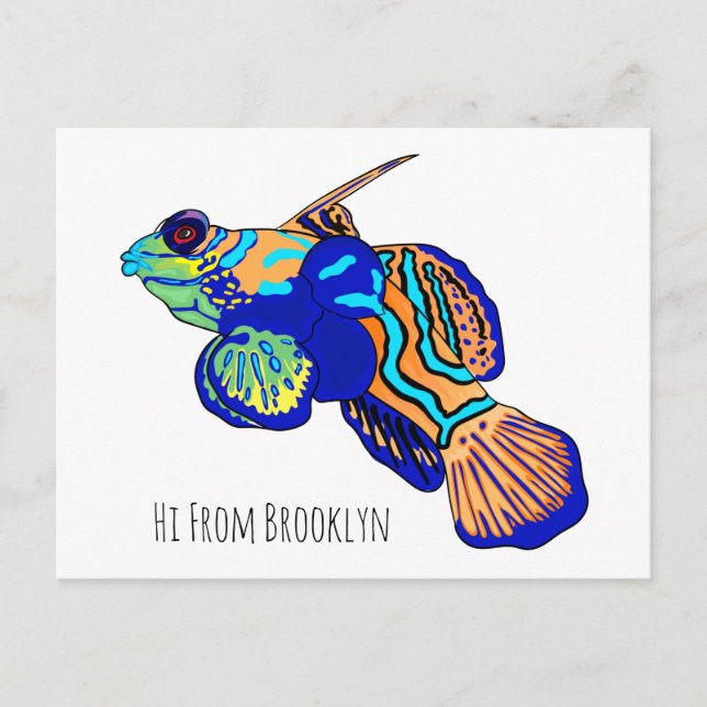 Mandarinfish cartoon illustration postcard (Front)
