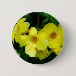 Mandevilla.JPG 6 Cm Round Badge