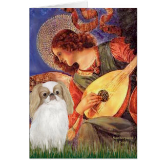 Mandolin Angel - Japanese Chin (L1)