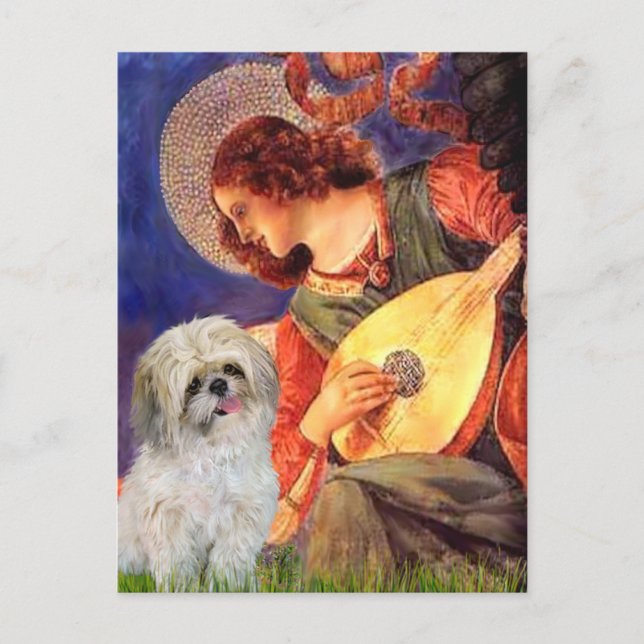 Mandolin Angel - Shih Tzu (P) Postcard (Front)