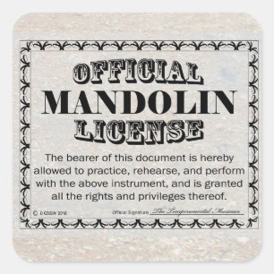 Mandolin License Square Sticker