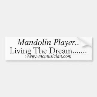 Mandolin Player Sticker