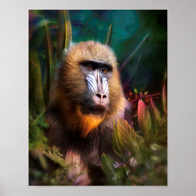 Mandril Baboon MASK IN THE JUNGLE Poster (Front)