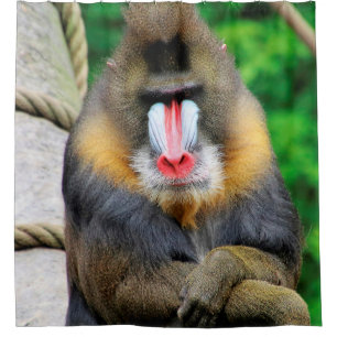 Mandrill 001 shower curtain