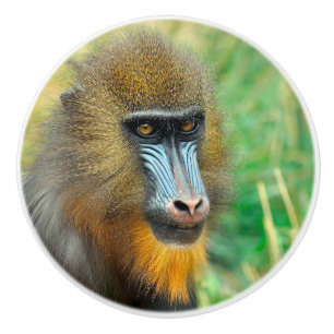 Mandrill 002 ceramic knob