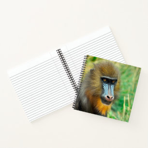 Mandrill 002 notebook