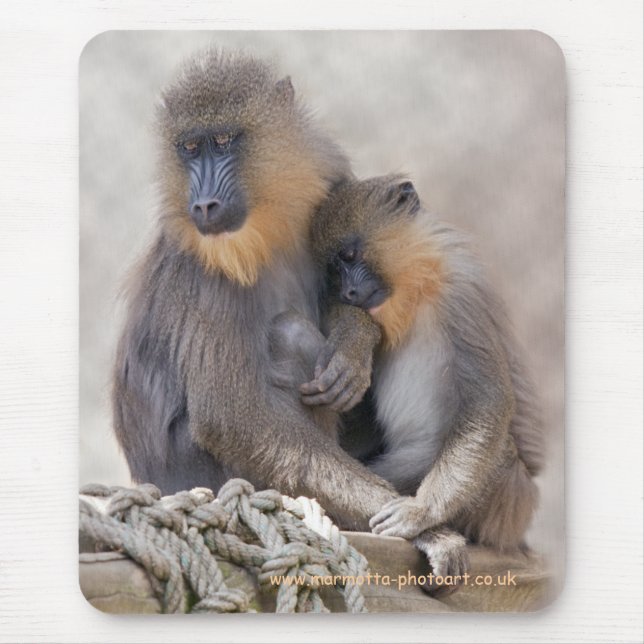 Mandrill and Young Mousemat (Front)