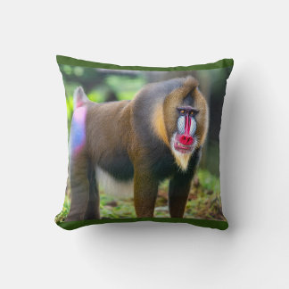 Mandrill Baboon Cushion