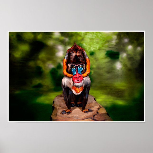 Mandrill Bodypainting Illusion Poster (Front)