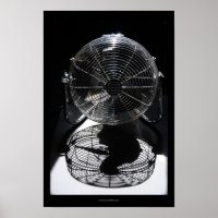 Mandrill Fan BW Still Life Photography S Poster